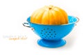 Pumpkin in blue colander