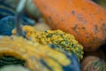 Pumpkin with bubbles on it Royalty Free Stock Photo