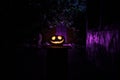 Pumpkin Burning In Forest At Night - Halloween Background. Scary Jack o Lantern smiling and glowing pumpkin with dark toned foggy Royalty Free Stock Photo