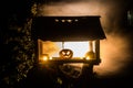 Pumpkin Burning In Forest At Night - Halloween Background. Scary Jack o Lantern smiling and glowing pumpkin with dark toned foggy Royalty Free Stock Photo