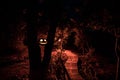 Pumpkin Burning In Forest At Night - Halloween Background. Scary Jack o Lantern smiling and glowing pumpkin with dark toned foggy Royalty Free Stock Photo