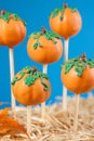 Pumpkin cake pops Royalty Free Stock Photo
