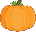 Pumpkin Cartoon Illustration