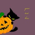 Pumpkin and cat