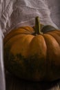 Pumpkin with cheesecloth