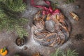 Pumpkin chocolate babka with cinnamon and powdered sugar Royalty Free Stock Photo