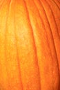 Pumpkin Close Up