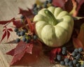 pumpkin close-up red leaves blue berries still life autumn macro bokeh background Royalty Free Stock Photo