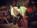 pumpkin close-up red leaves blue berries still life autumn macro bokeh background Royalty Free Stock Photo