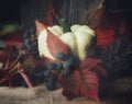 pumpkin close-up red leaves blue berries still life autumn Royalty Free Stock Photo