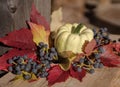 pumpkin close-up red leaves blue berries still life wood background outdoor sunlight Royalty Free Stock Photo