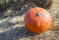Pumpkin2 Royalty Free Stock Photo