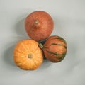 Pumpkin on pastel gray background