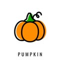 Pumpkin color Icon. Vector illustration pumkin in Line style. Isolated Logo.