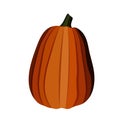 Pumpkin colored vector illustration