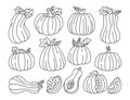 Pumpkin contour doodle set symbol icon vector