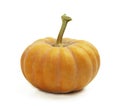Pumpkin. Cooking pumpkin or apple pie and cookies for Thanksgiving and autumn holidays. Pumpkins isolated on white