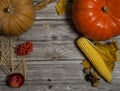 Pumpkin, corn cob, Apple, pumpkin seeds, Rowan berries and barley ears, walnuts and chestnuts, autumn leaves on a wooden backgrou Royalty Free Stock Photo