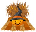 Pumpkin on corn maze