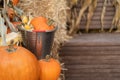 Pumpkin and corn in a tin bucket on straw bales next to the harvest box Royalty Free Stock Photo