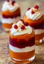 Pumpkin and cranberry dessert