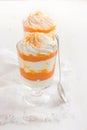 Pumpkin and cream cheese dessert Royalty Free Stock Photo