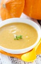 Pumpkin cream soup