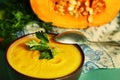 Pumpkin cream soup in bowl with parsley Royalty Free Stock Photo