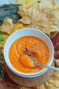 Pumpkin Cream Soup in a White Bowl Royalty Free Stock Photo