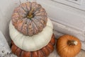 Decorative autumn pumpkins in the doorway. Royalty Free Stock Photo
