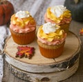 Pumpkin cupcakes with bright orange caps