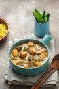Pumpkin curry with turkey in coconut cream with rice biriani Royalty Free Stock Photo