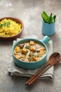 Pumpkin curry with turkey in coconut cream with rice biriani Royalty Free Stock Photo