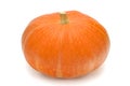 Pumpkin with the cut peduncle Royalty Free Stock Photo