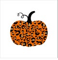 Leopard pumpkin3 Royalty Free Stock Photo