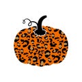 Leopard pumpkin2 Royalty Free Stock Photo