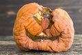 pumpkin in dangerous mold Royalty Free Stock Photo