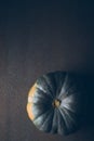 Pumpkin on dark background