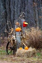 Pumpkin decoration for autumn in Wisconsin