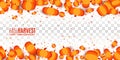 Pumpkin decorative border seamless on horizontal. Fall Harvest pattern on white transparent checkered background. All isolated and