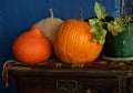 Pumpkin with decorative gourds and a flower Royalty Free Stock Photo