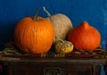 Pumpkin with decorative gourds Royalty Free Stock Photo