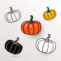 Pumpkin design, orange pumpkin, vegetable crop .