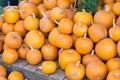 Pumpkin Royalty Free Stock Photo