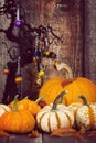 Pumpkin display with autumn leaves against rustic Halloween back