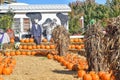 Pumpkin Display with Corn Husks and Scarecrows