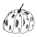 Pumpkin in doodle style on isolated white background. Thanksgiving Day, Halloween pumpkin icon. Vector autumn illustration. Royalty Free Stock Photo