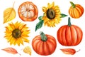 Pumpkin, dried leaves, sunflower. Autumn watercolor illustration isolated on white background, Royalty Free Stock Photo