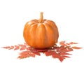 Pumpkin with dry autumn leaves