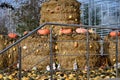 A pumpkin exhibition on a straw bales background.